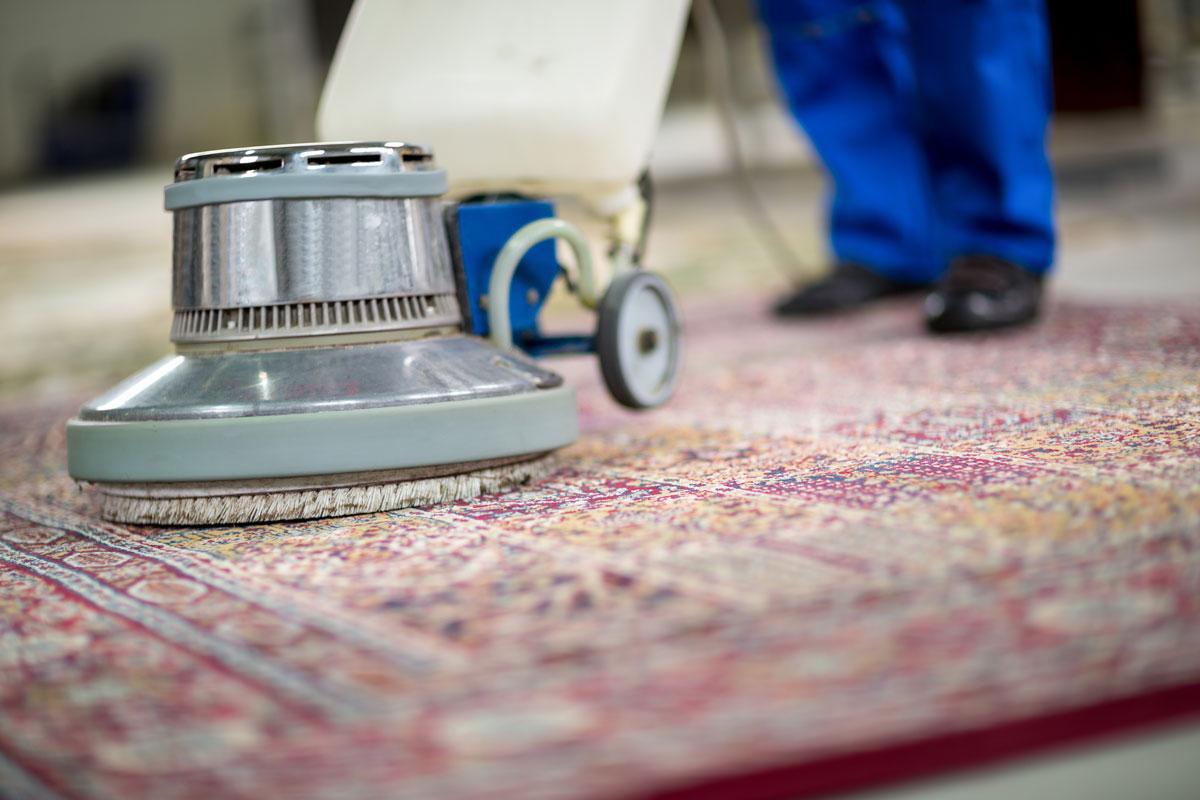 Technician gently hand-washing a fine wool area rug
